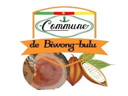 Commune d'Efoulan